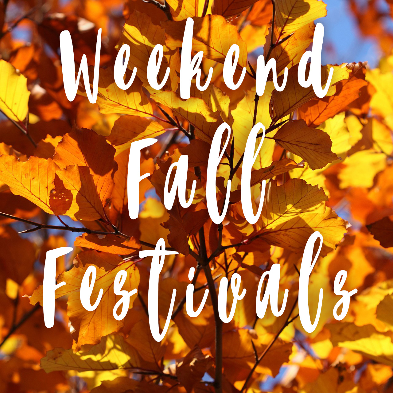 13 Fall Festivals happening this weekend around Tulsa Her Plate